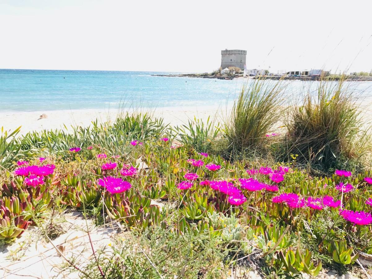 Casa Vacanze Dei Bacini Porto Cesareo Ngoại thất bức ảnh